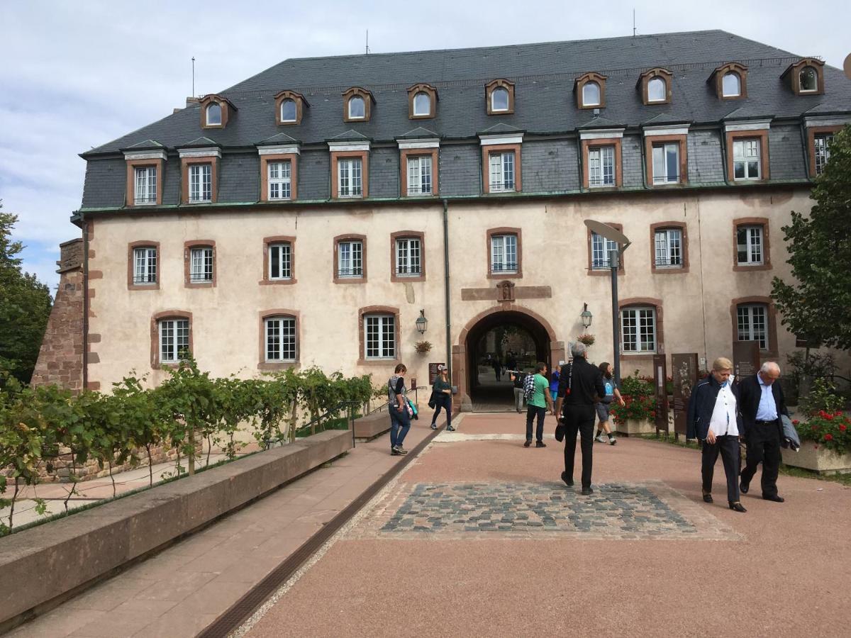 Gite De Montagne -Bellefosse Alsace Екстер'єр фото